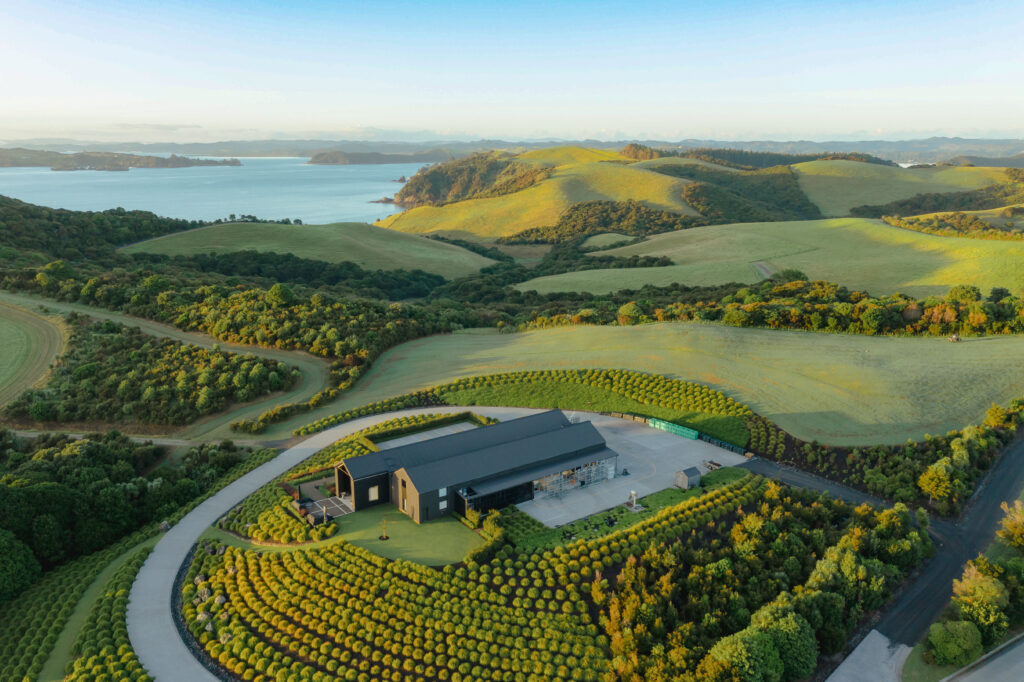 The Landing DJI_0213 edited