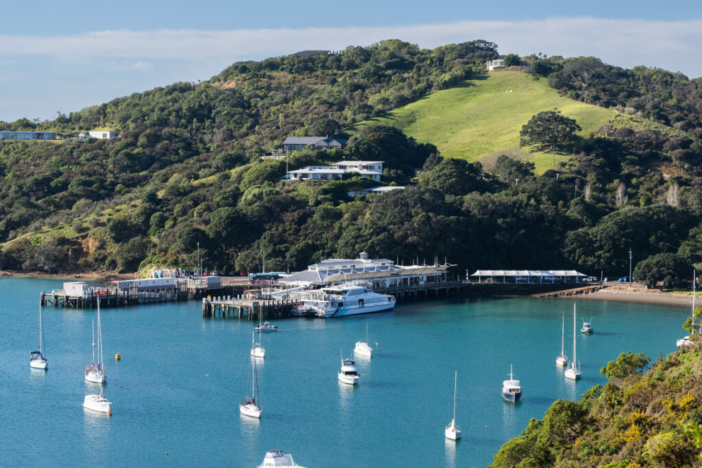 Waiheke-Island-Family-Shaun Jeffers-2022-177