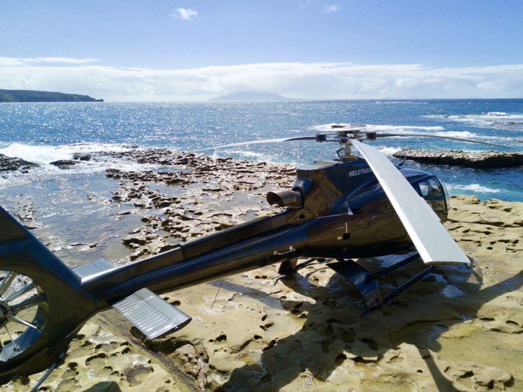 HBZ-alone-at-Kawau-Island