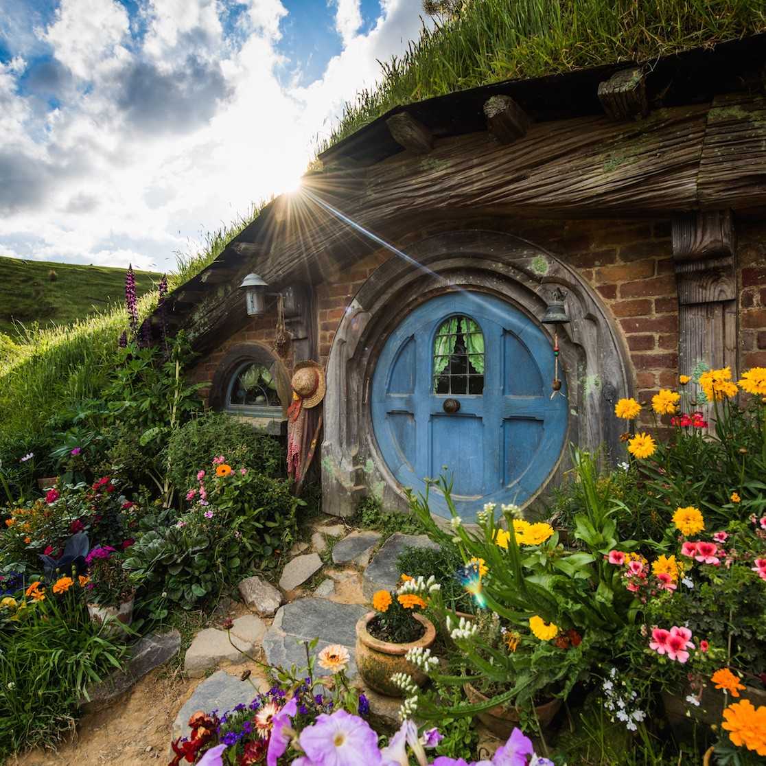 The Essential Waitomo & Hobbiton Experience