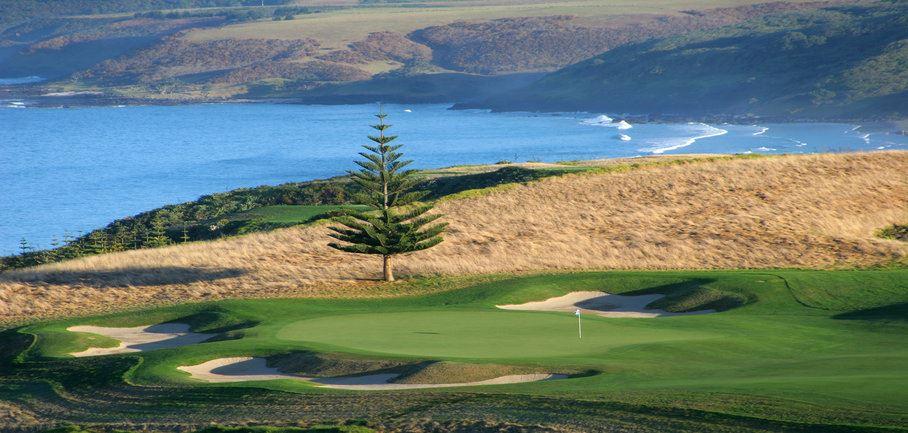 Kauri-Cliffs-golf-pine-copy-1