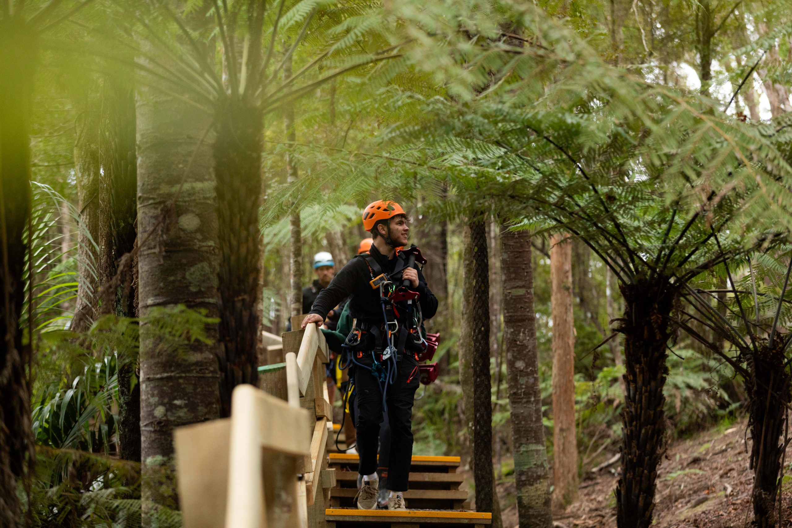 Man O’ War Forest Flight Zipline