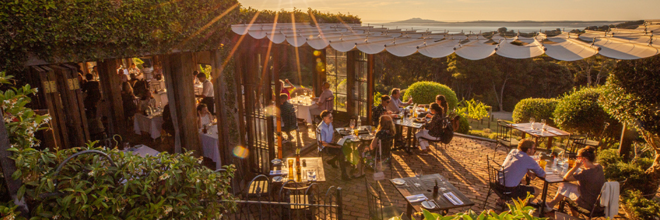 Sunset at Mudbrick